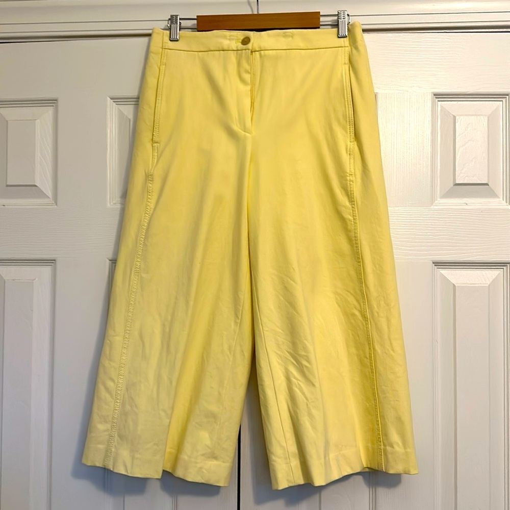 {Ann Taylor} Cropped Pants.